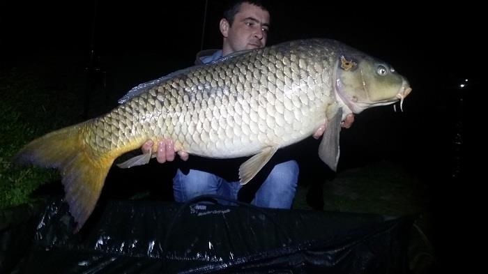 Tancabesti 25 - 27 mar. - 201403262146487bestshot11.jpg